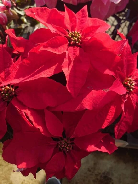 お礼日記初めましてのお兄様❤️