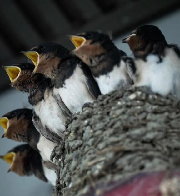 どうかしてるぜ