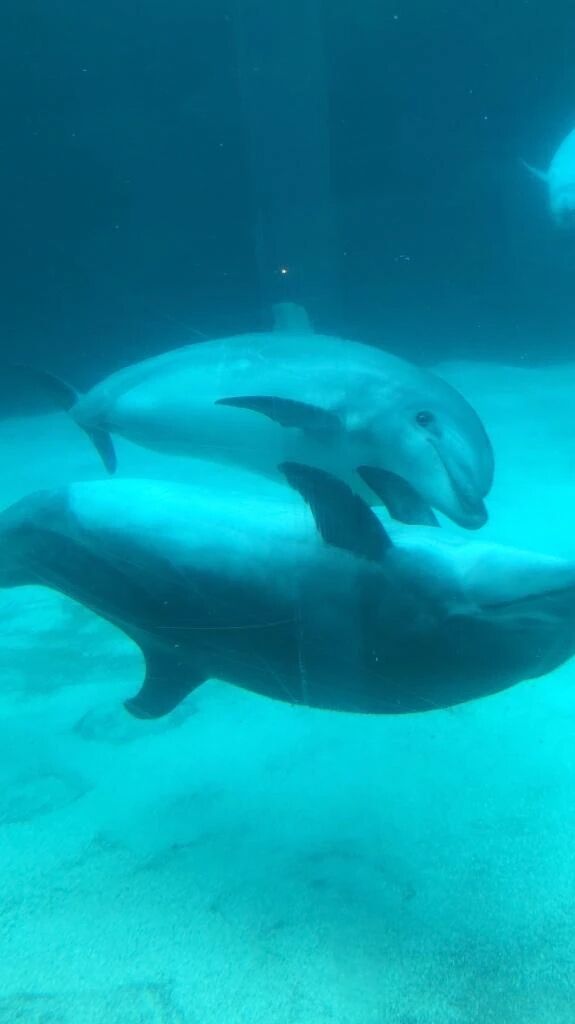 今日出勤します☺️