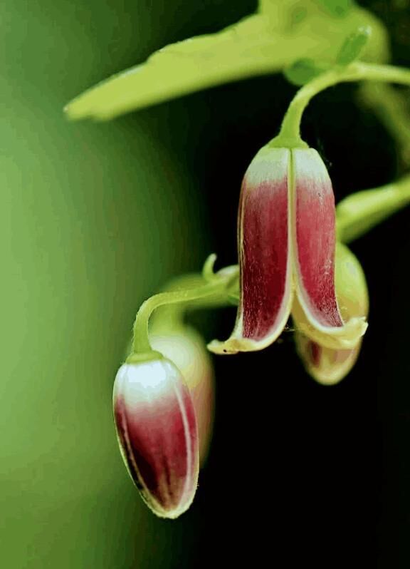 ありがとう(〃∇〃)