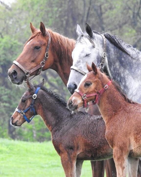 ( ´♡♡♡♡)♡