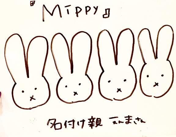 ありがとう&#128159;