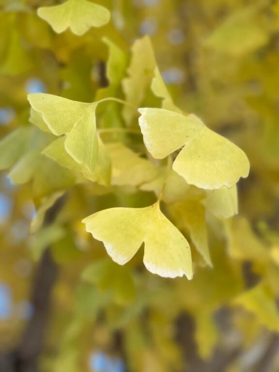 お知らせです！