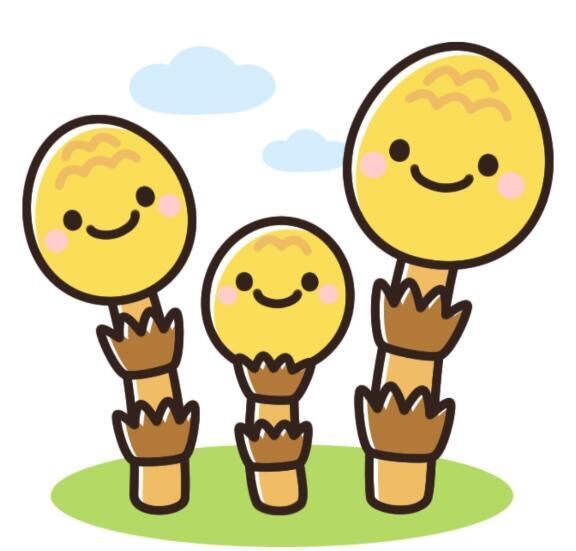 12/6ウィルKO様14:00〜