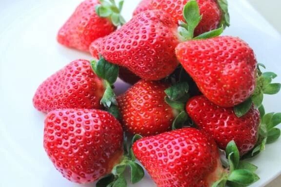 おはようございます。