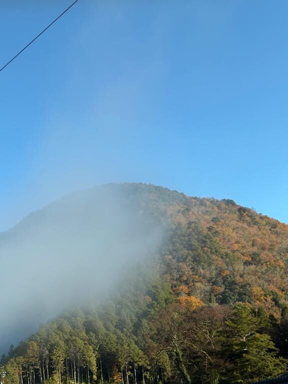 おはようございます♡♡