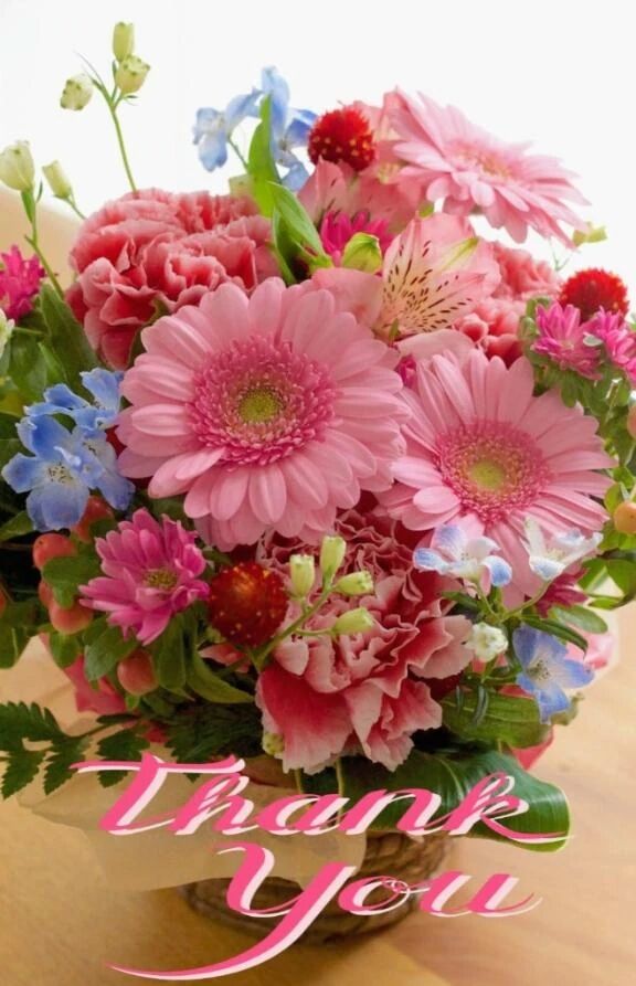 &#10024;27日みたよ♪の女の子会員の皆様&#10024;