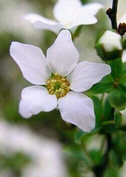 こんにちは〜♪♪