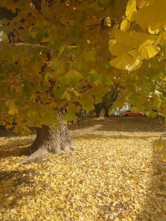 ☆14日(日)久々に出勤☆