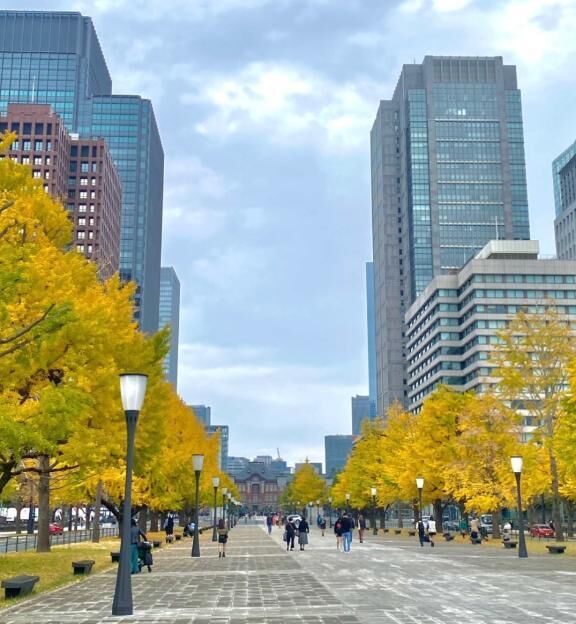 塩パンブーム中