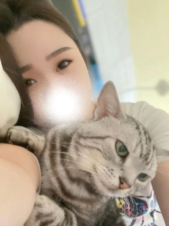 ネコになりたい&#128049;