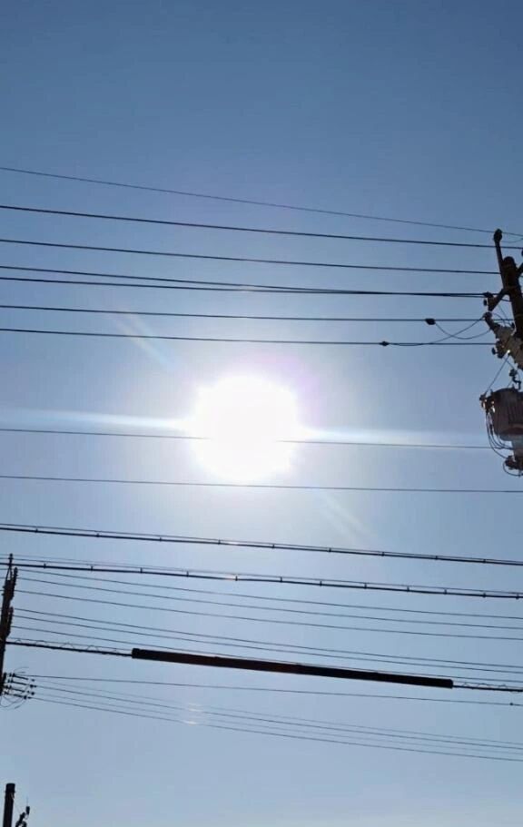 李こんにちは李