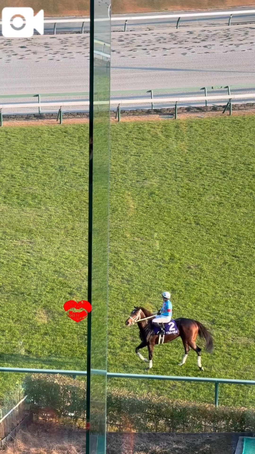 かわいいシーン