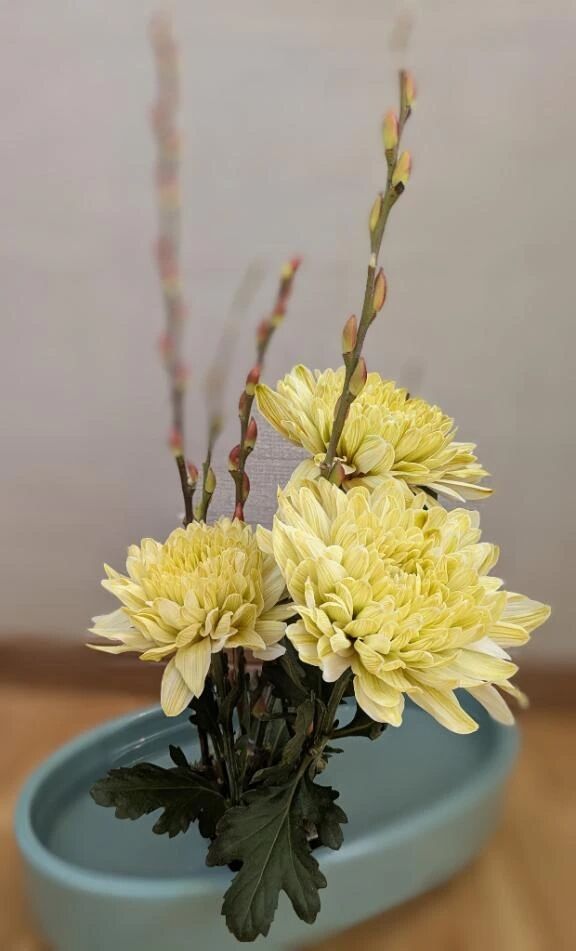 本指名先生様☆