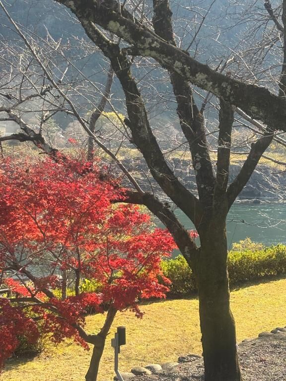 おはようございます^_^