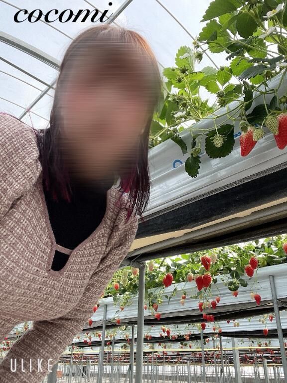 ♡♡　おはようございます　♡♡