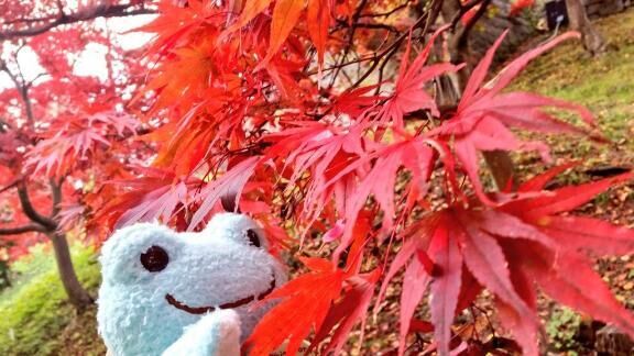 今日はご予約様のみ☆