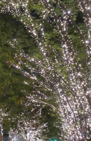 楽しみましょ(●´ω｀●)