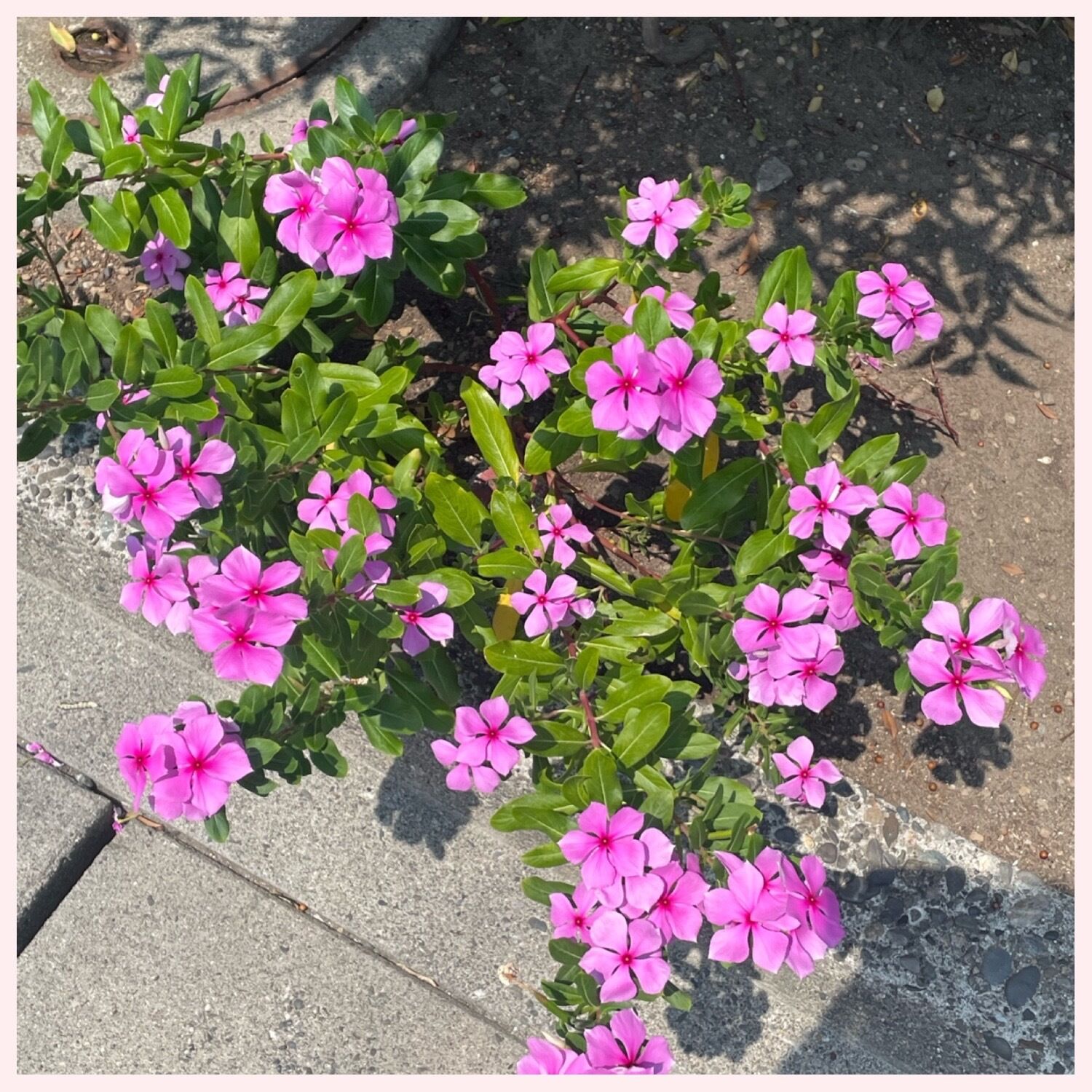 出勤しました(^^)