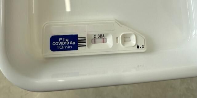 　インフルでしたー(~_~;)