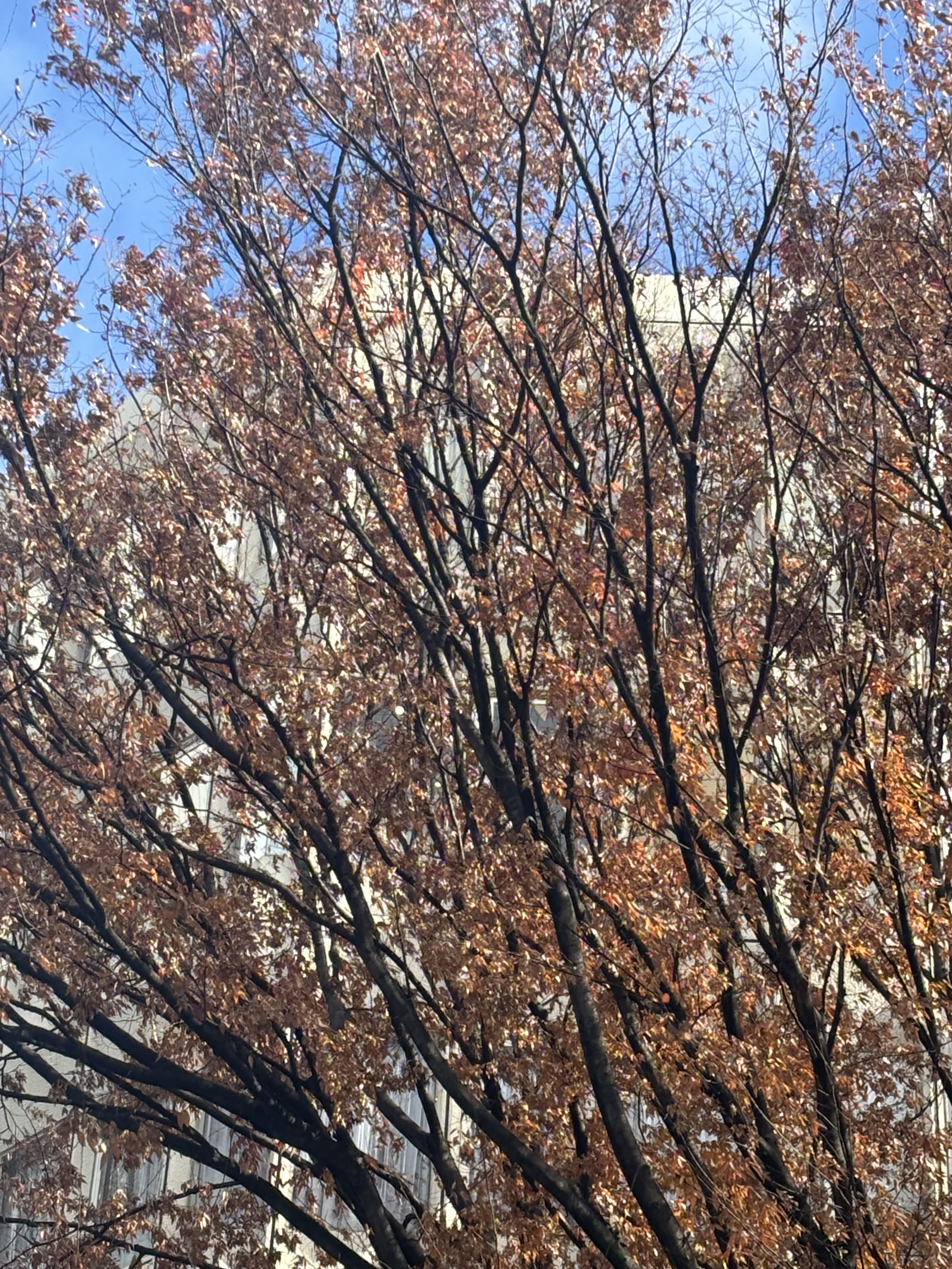 見つけちゃった❣️散策編