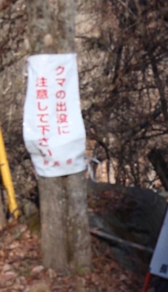 &zwj;でたんか