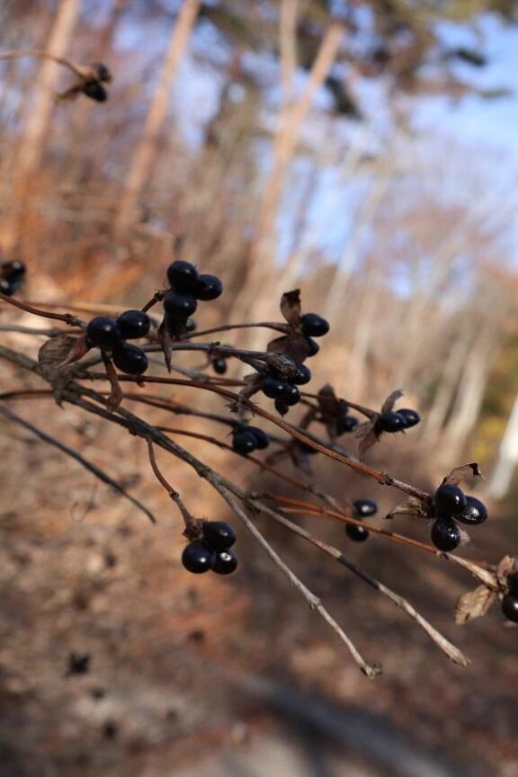 写真検索便利だけど怖い