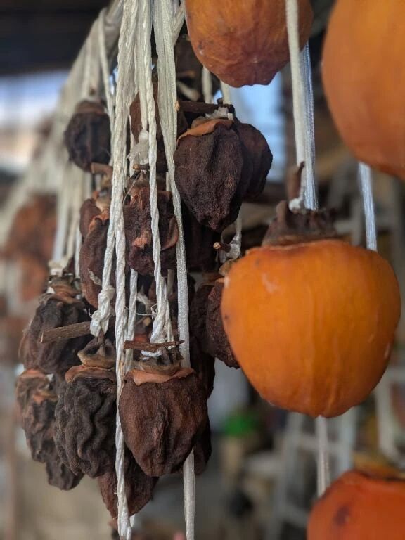 今日1番目の&#x301C;