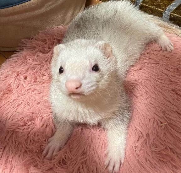 帰宅しました