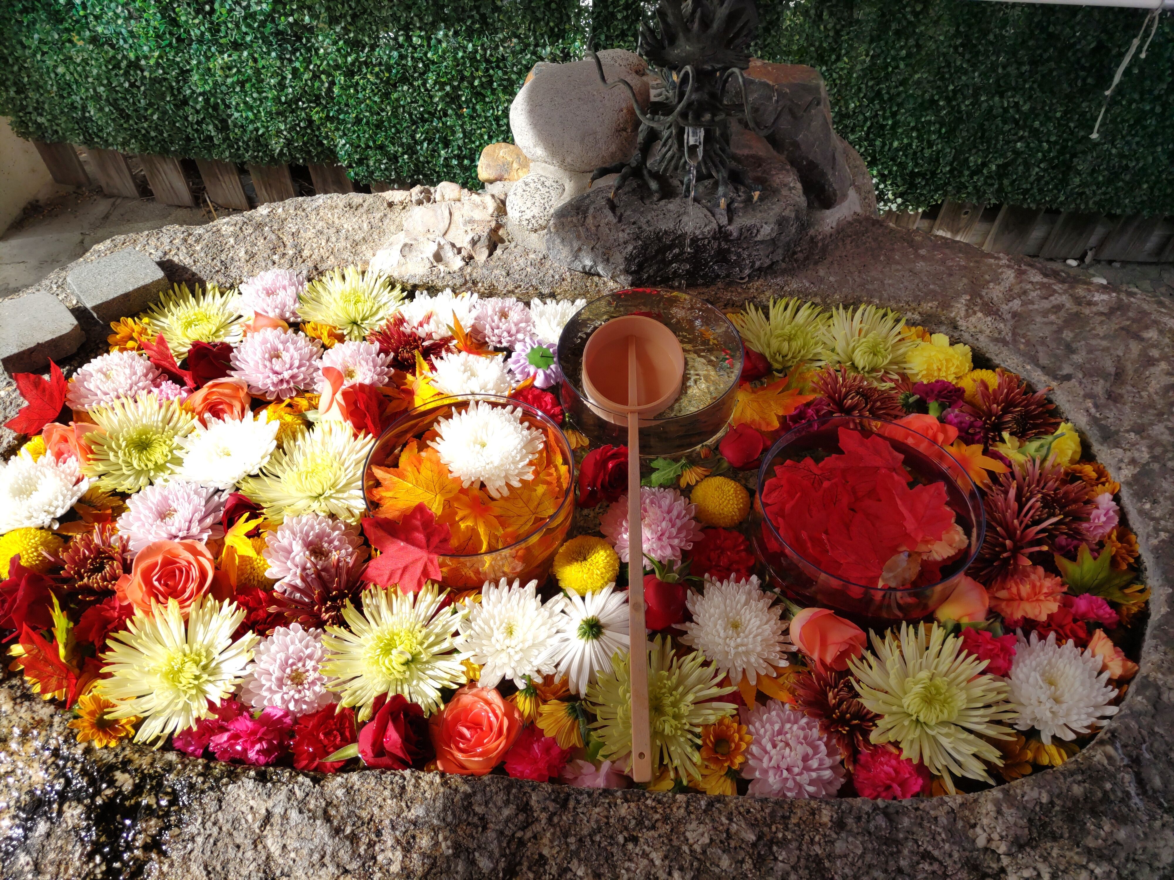 (⁠｡⁠ŏ⁠﹏⁠ŏ⁠)