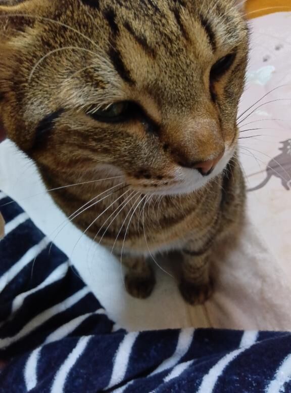 [お題]from:変態パンストPちゃんさん