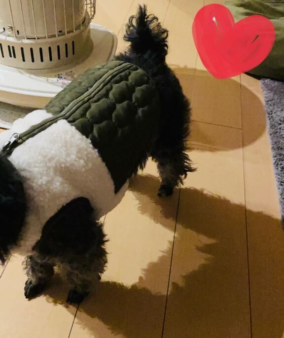 共通の趣味とは