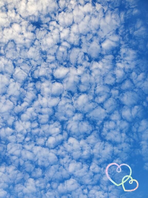 おはようございます♪