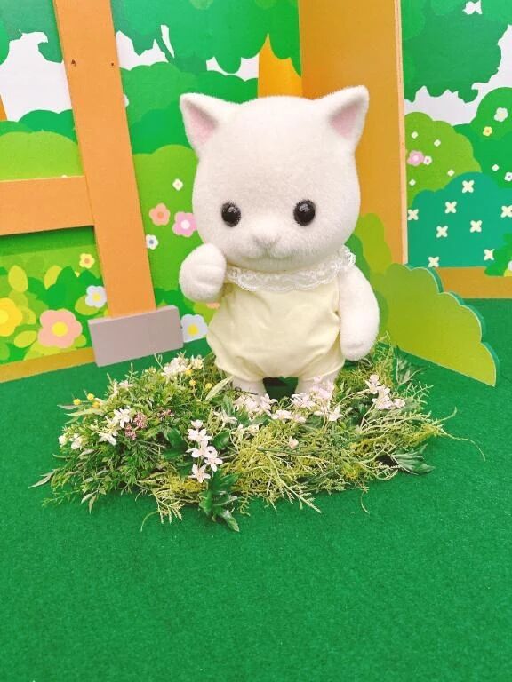 おはようございます