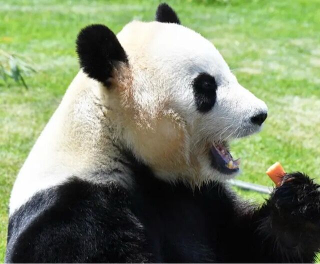 Goodmorning☀️