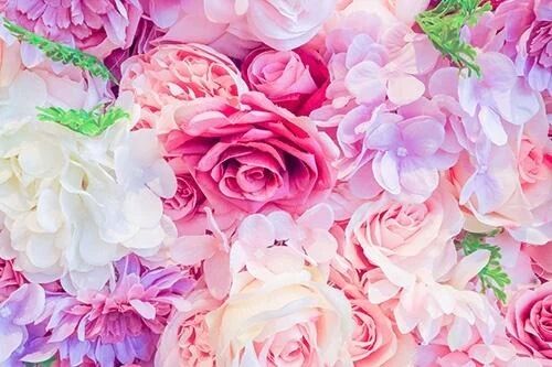 今日も行きますー