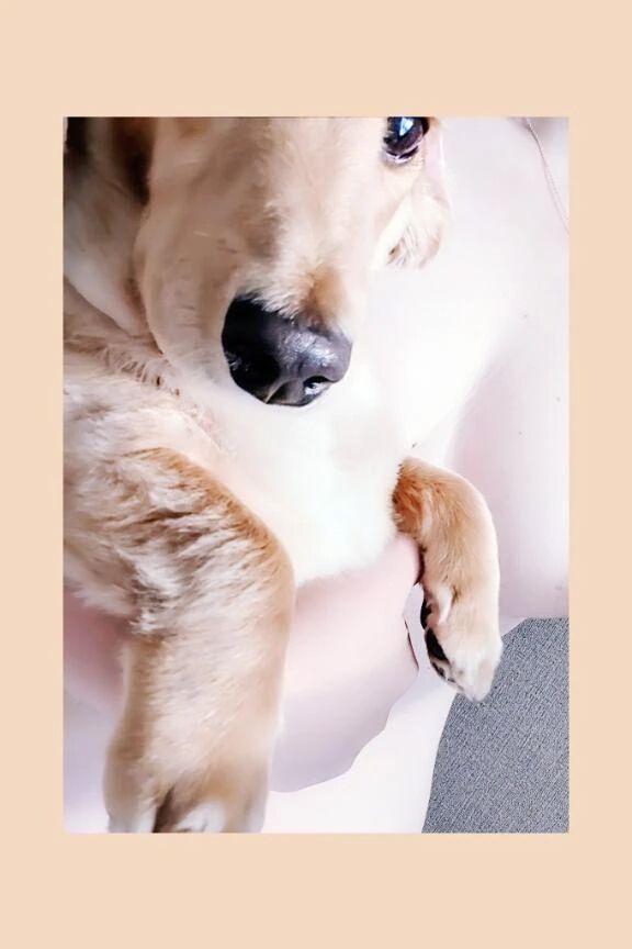 おはようございます！