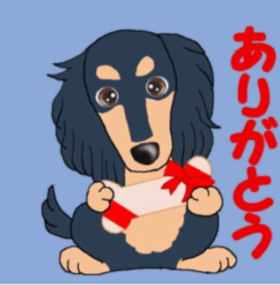 P指様、ありがとう