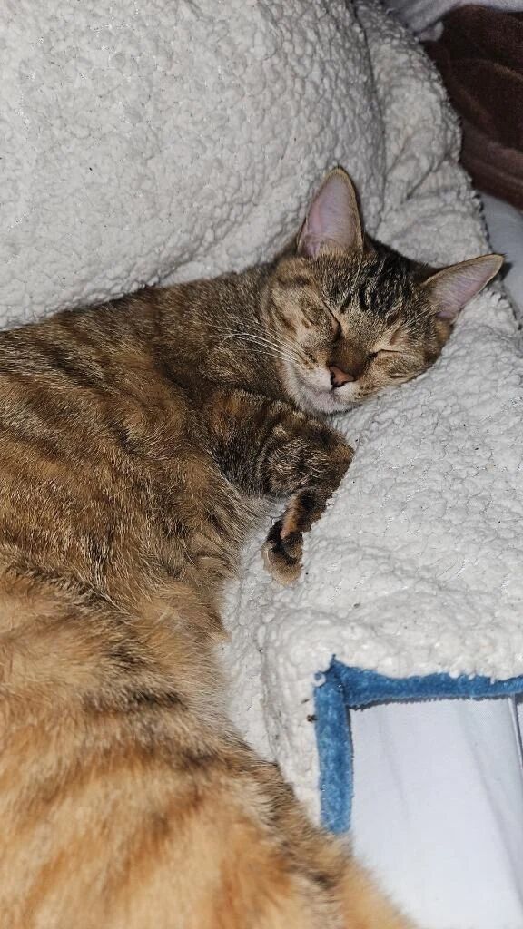 おはよぉ&#77954;(&#1374;っ &#811; _&#1374;)&#78354;