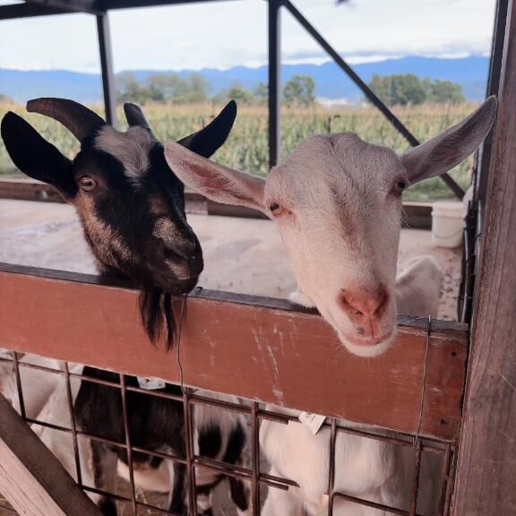 [お題]from:変態パンストPちゃんさん