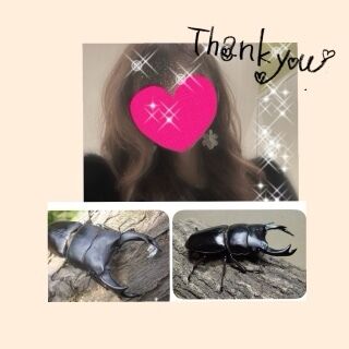 ありがとうございました♪