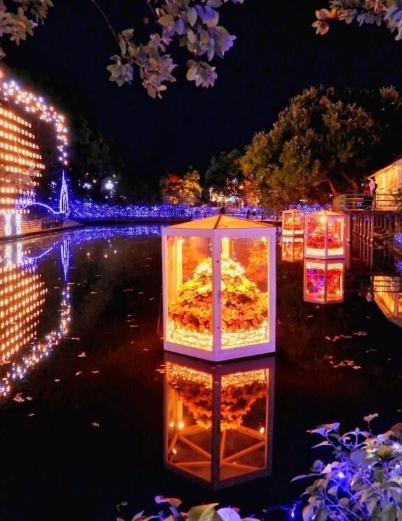 ♡♡　みたよ　♡♡