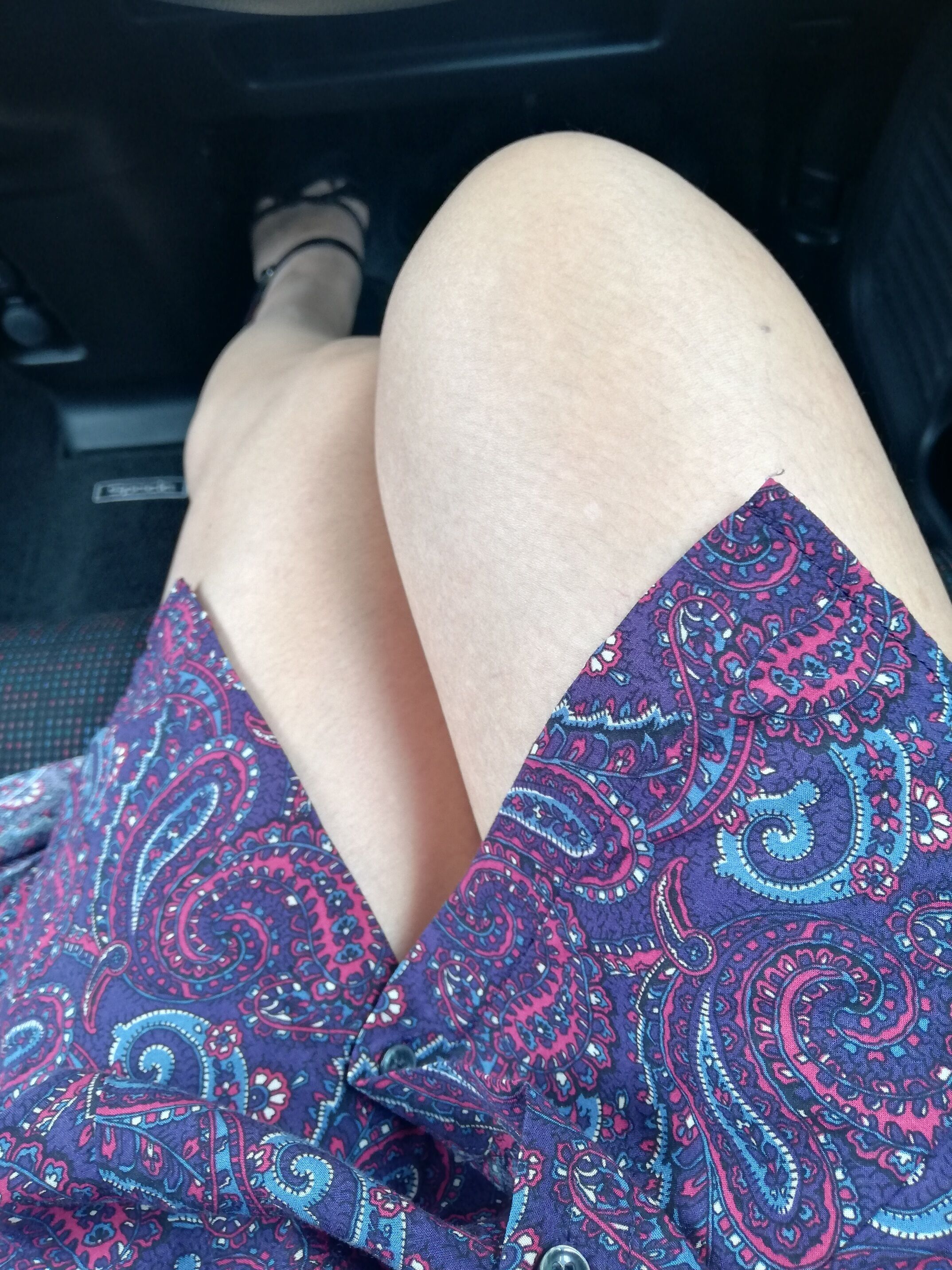 こんにちは！(⁠&bull;⁠‿⁠&bull;⁠)