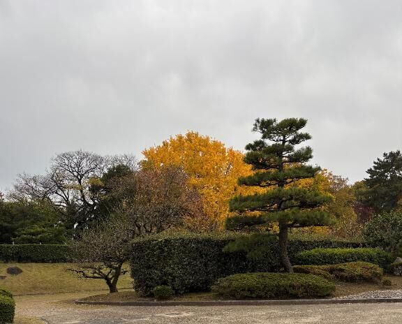 [お題]from:ねずみさん