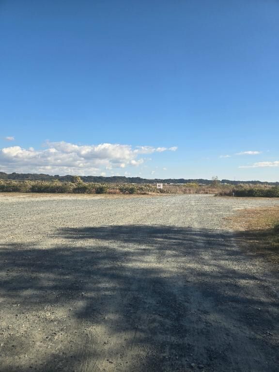 出勤致しました♡ワンッ♡