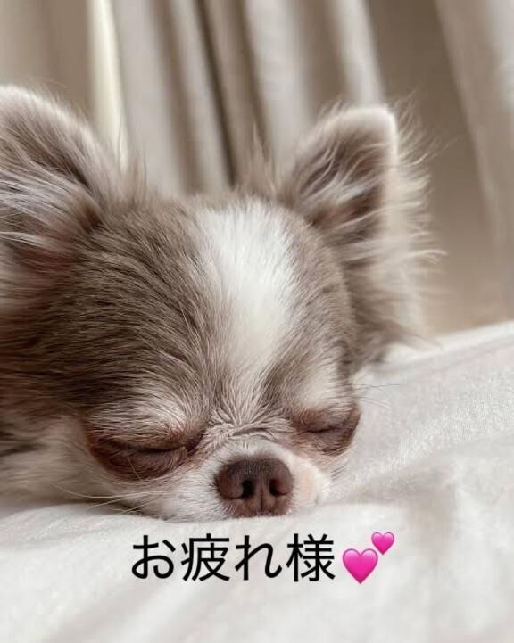 お疲れ様です&#9825;&#9825;&#9825;&#9825;&#9825;&#9825;