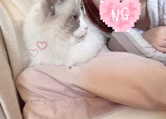 お礼日記﫶