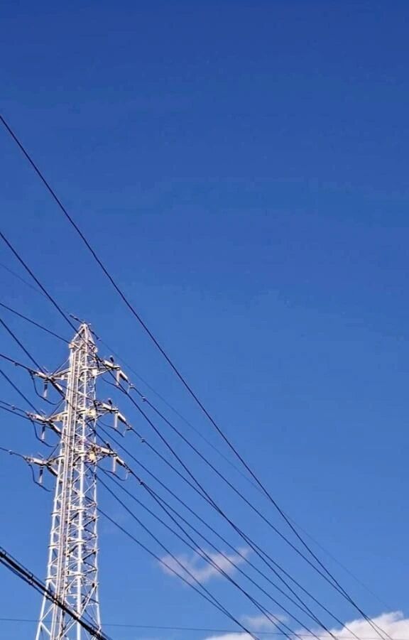 李こんにちは李