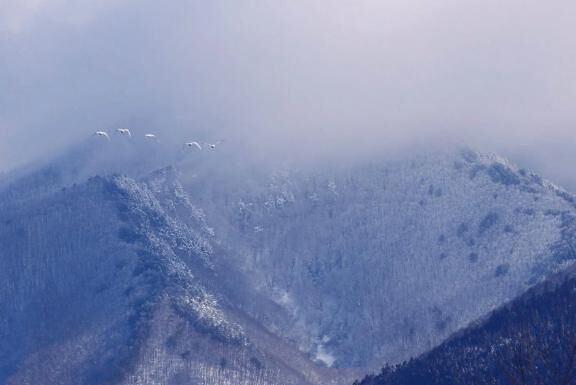 変身に愚痴るオバハン