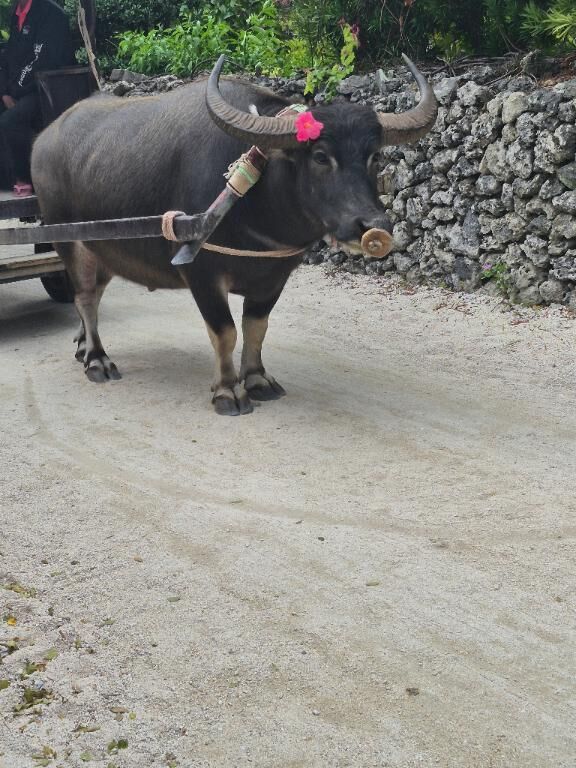 モォ〜〜〜〜〜ッ♡